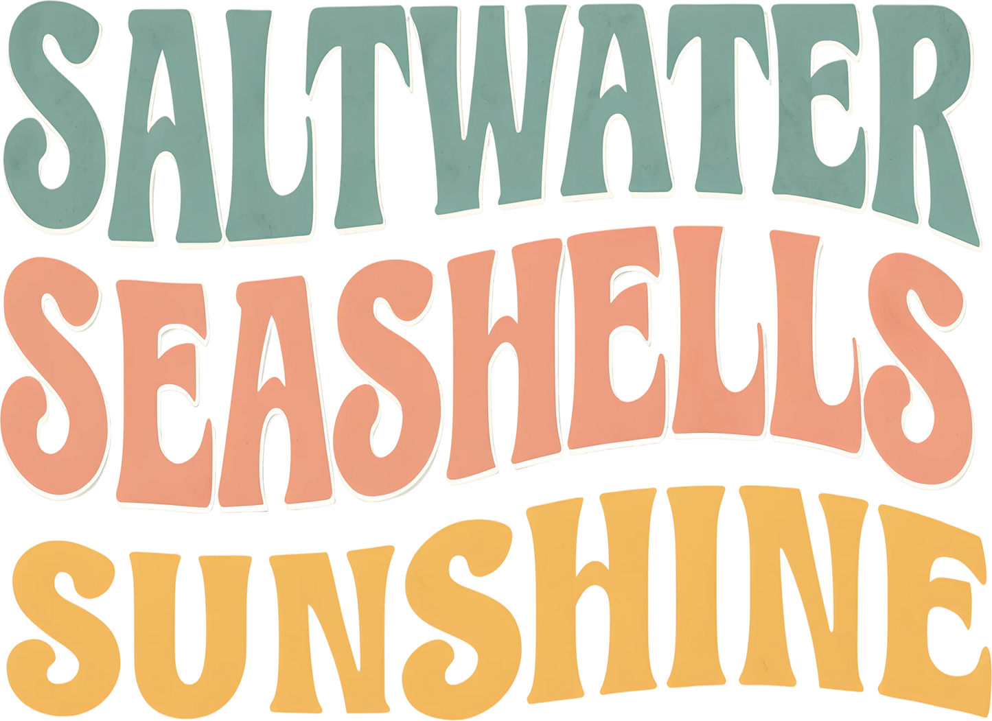 saltwater seashells sunshine