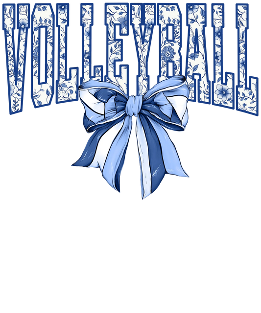 Volleyball with blue bow